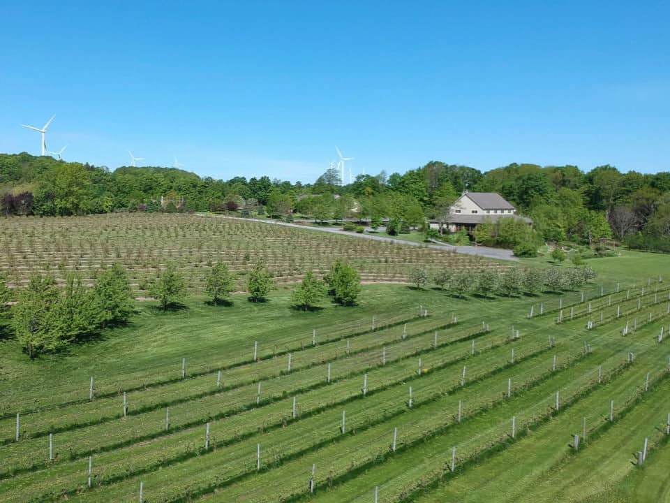 Tug Hill Vineyards