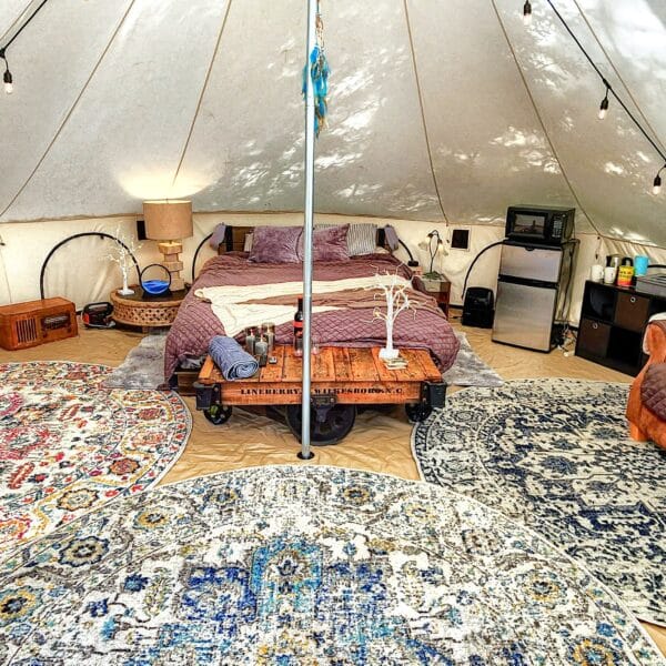 Top 4 Horseback Riding adventures in Upstate NY