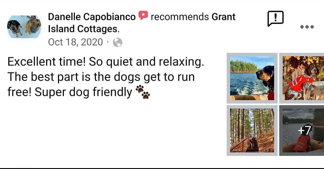 Pet friendly cabin rentals in Upstate NY