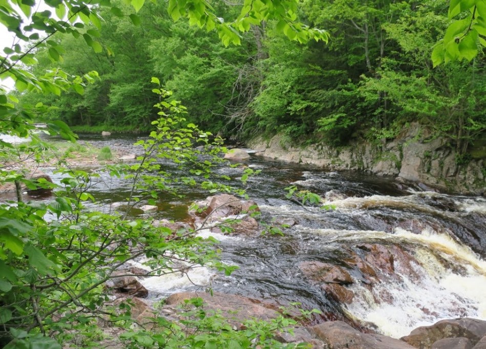 The #1 Best Hiking Trails in Upstate NY for All Skill Levels 10 Gleasmans falls 3