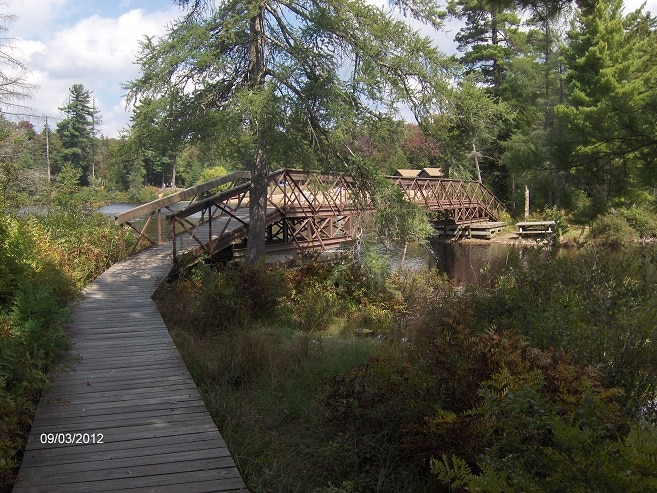 The #1 Best Hiking Trails in Upstate NY for All Skill Levels 31 Nicks Lake 2