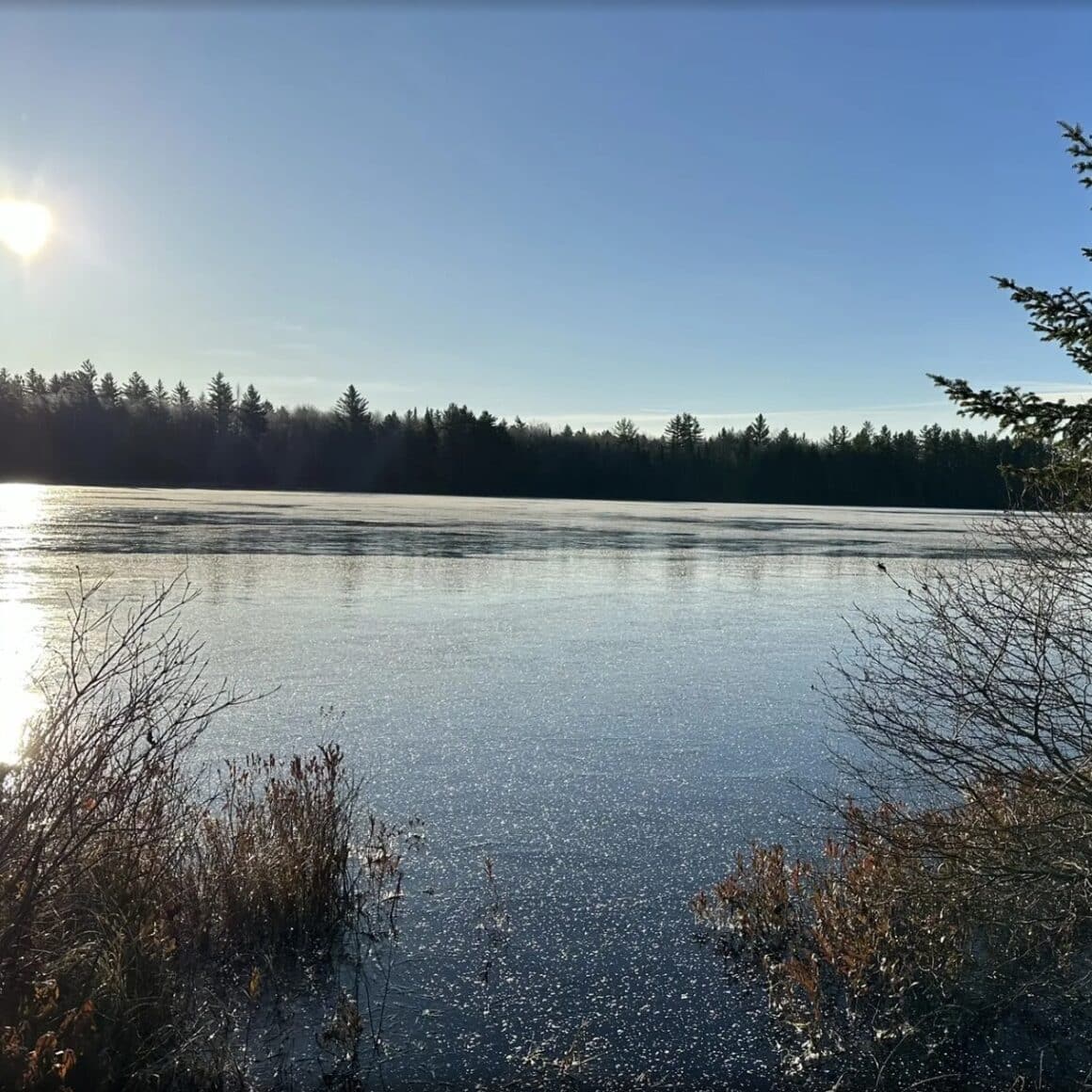 The #1 Best Hiking Trails in Upstate NY for All Skill Levels 22 Pine Lake Pine creed trails 2