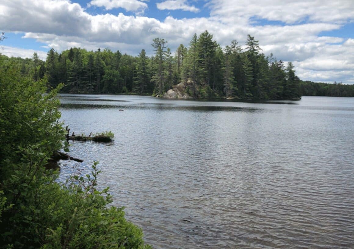 The #1 Best Hiking Trails in Upstate NY for All Skill Levels 19 Pine Lake Trail 1