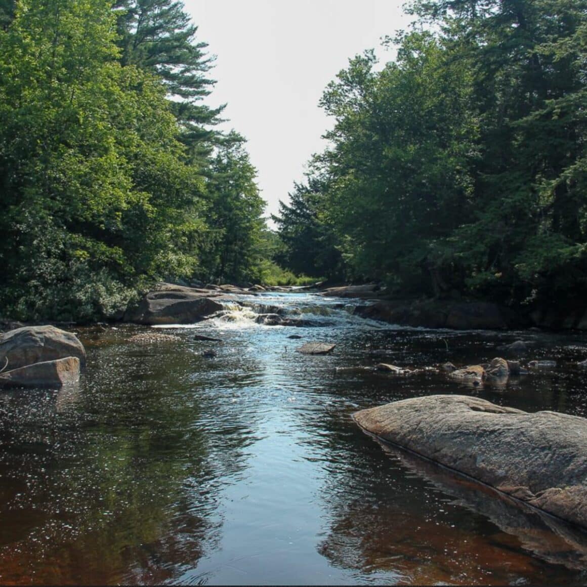 The #1 Best Hiking Trails in Upstate NY for All Skill Levels 3 Shingle Mills falls 2