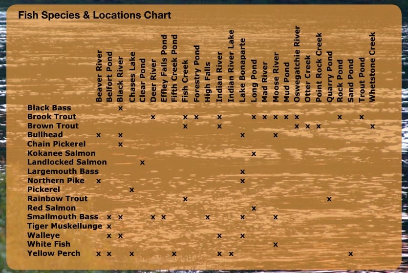 The #1 Best Hiking Trails in Upstate NY for All Skill Levels 32 fish Speciels Chart